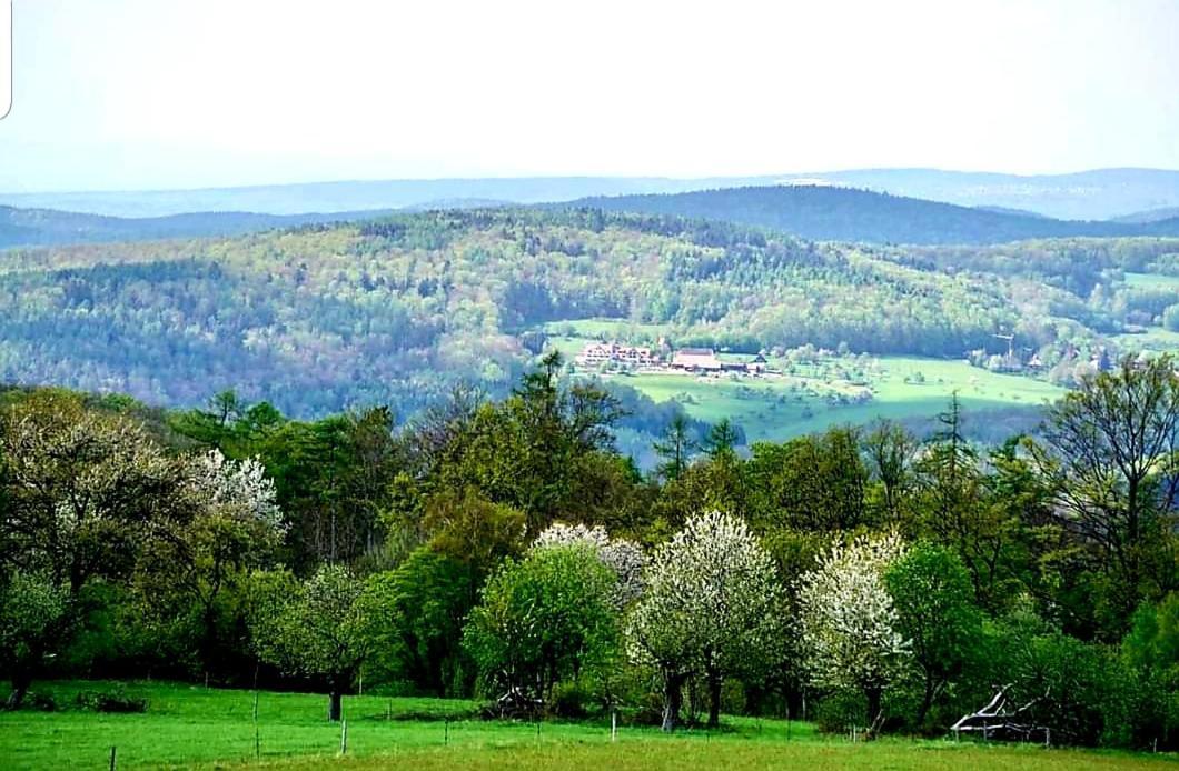 Geishoehe Landgasthof Rose Dammbach エクステリア 写真