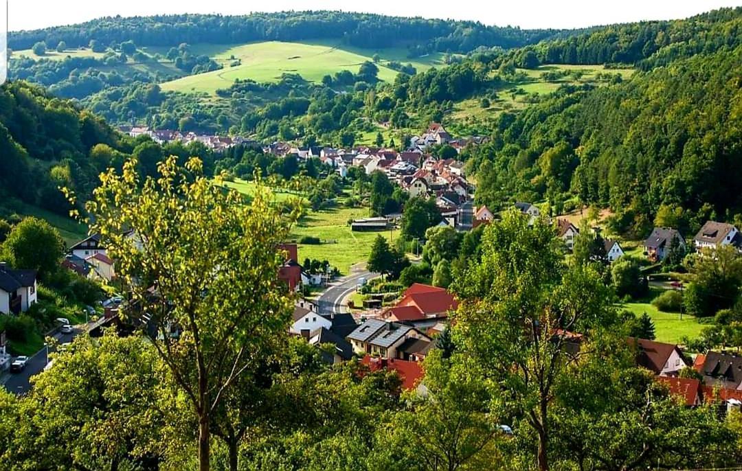 Geishoehe Landgasthof Rose Dammbach エクステリア 写真